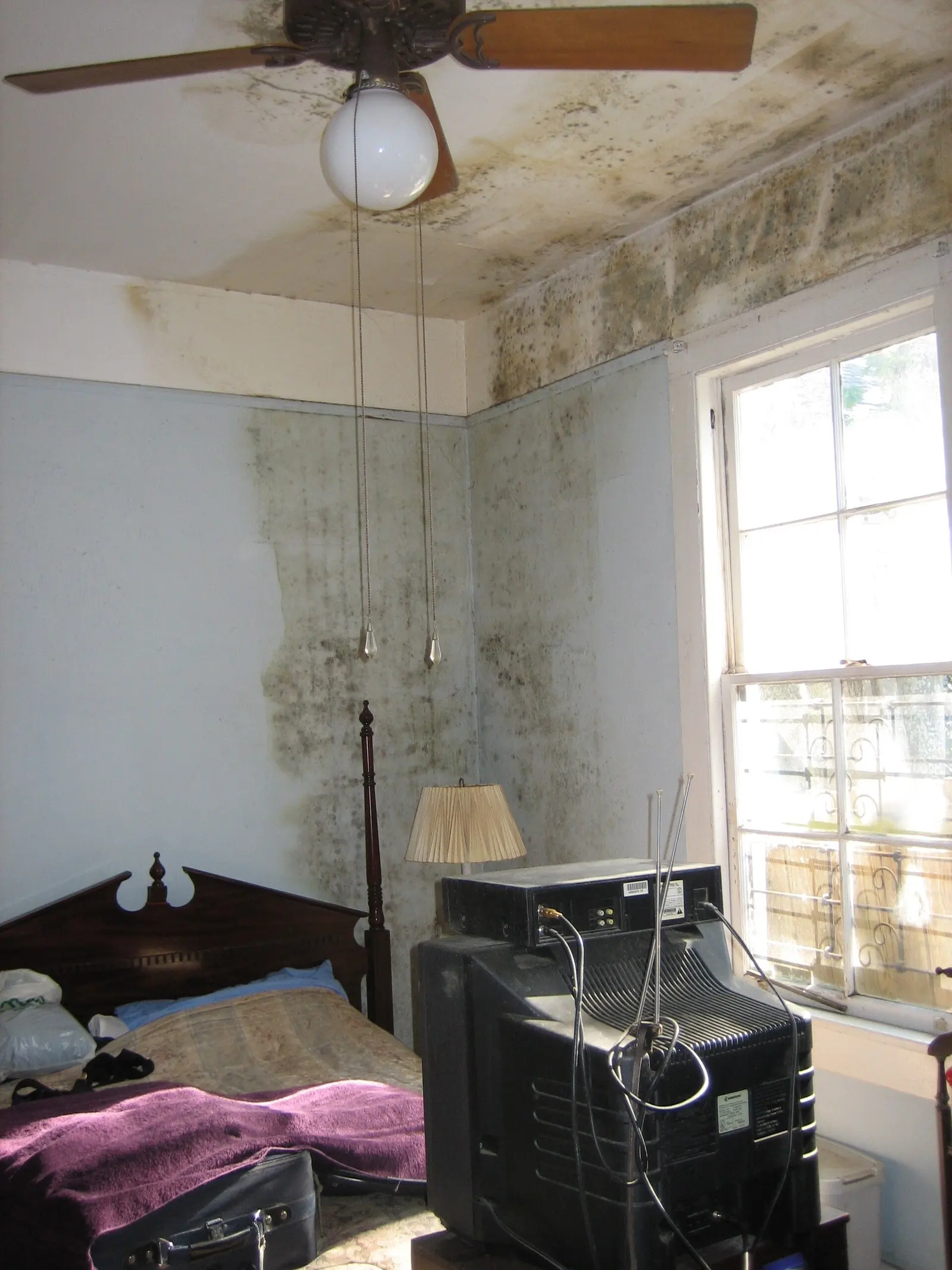 Mold on a bedroom wall and ceiling after water damage. Shown on the homepage for Cape Coral, FL.